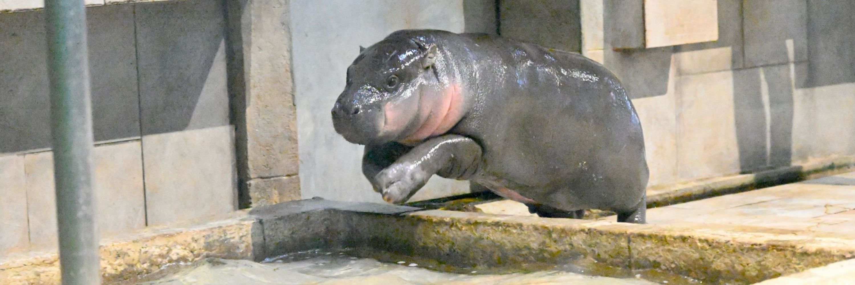 お