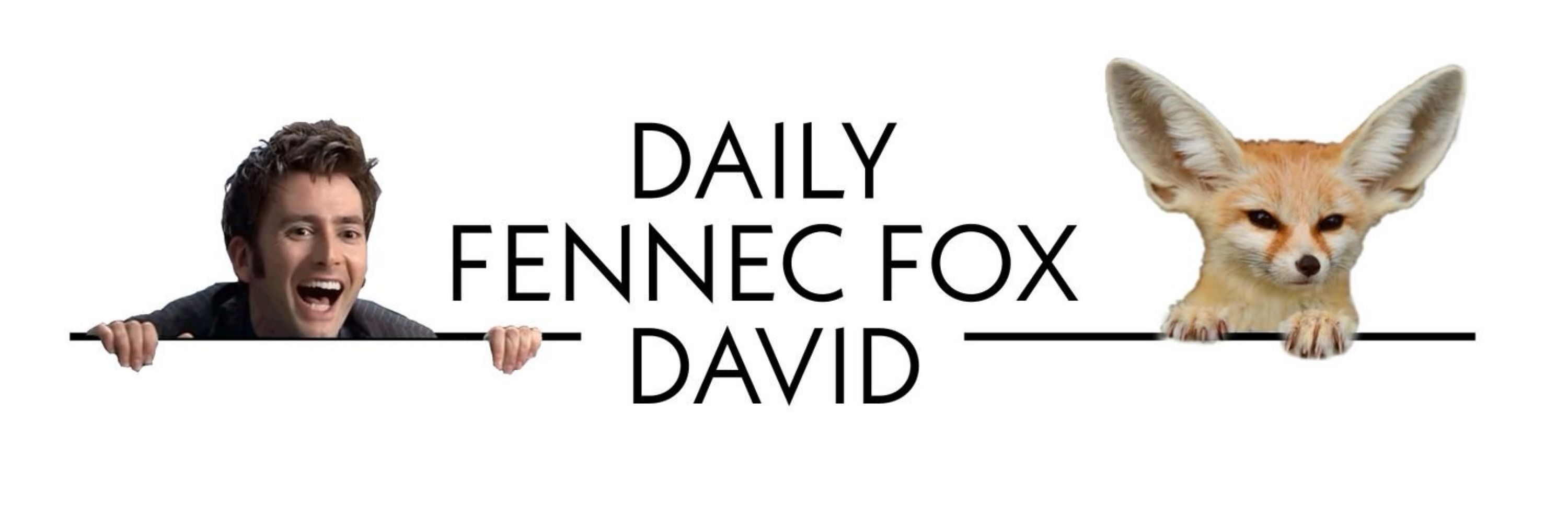 David Tennant as a Fennec Fox!