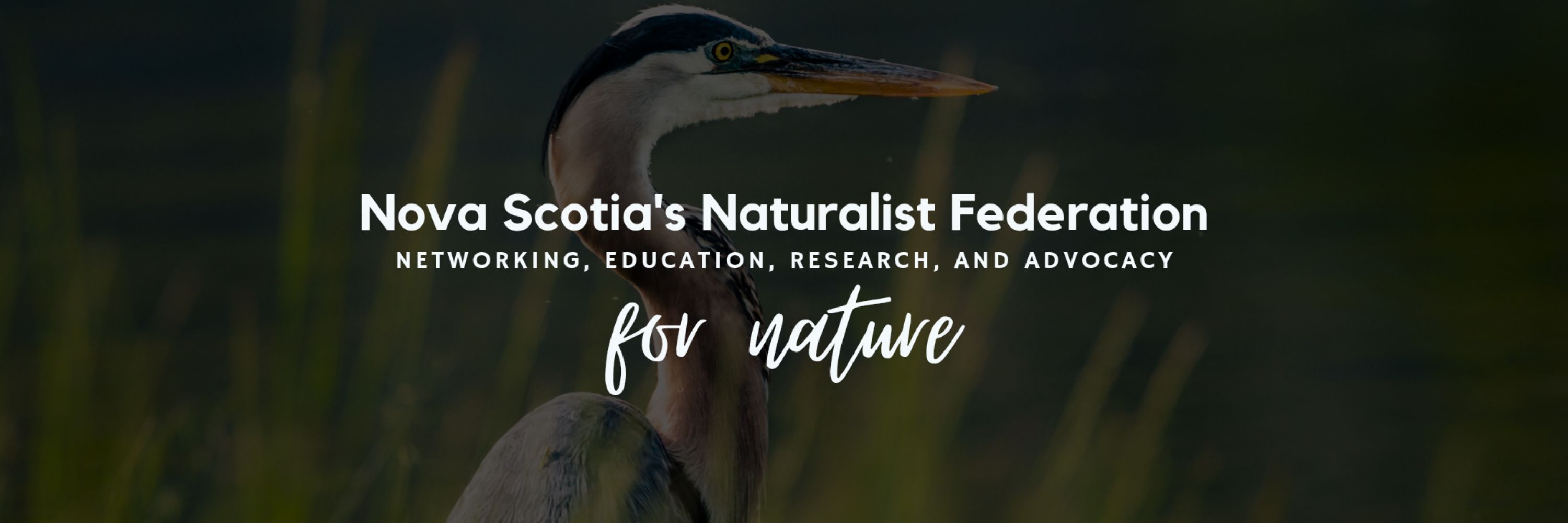 Nature Nova Scotia