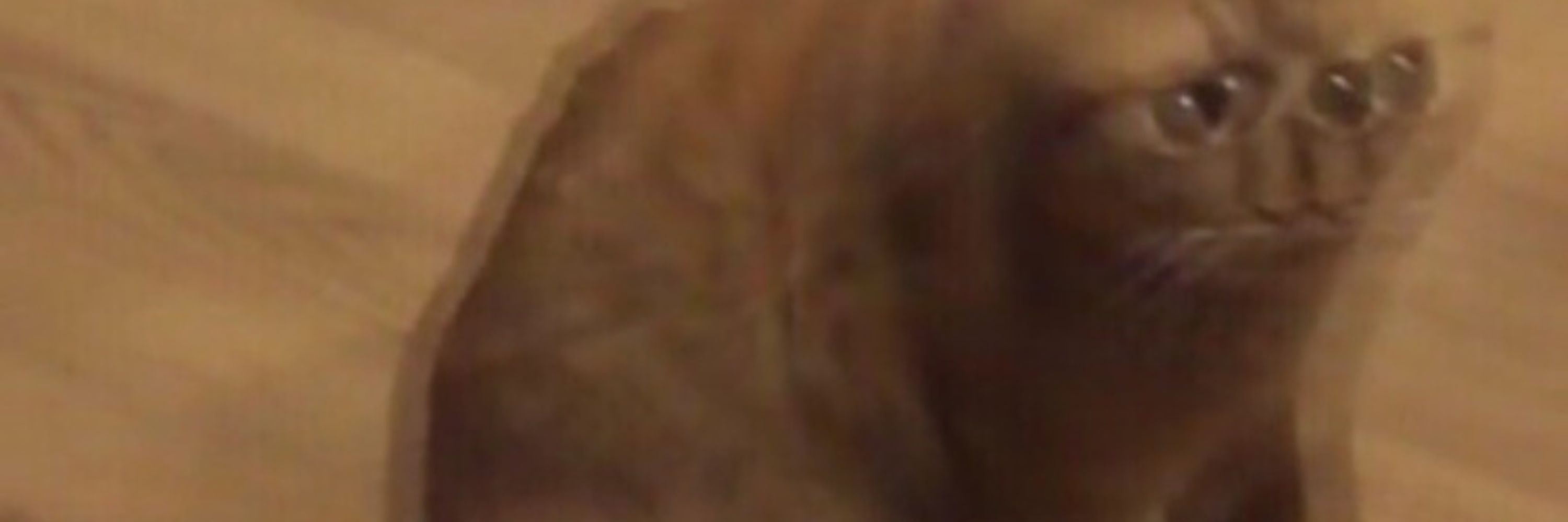 Gingercake
