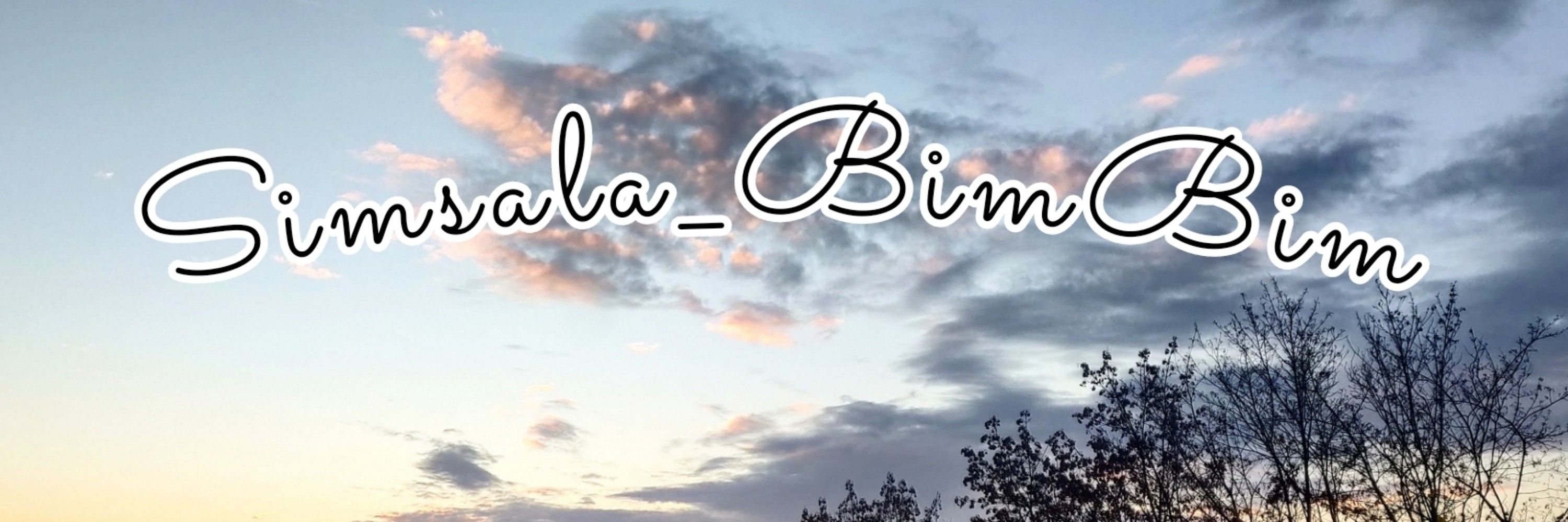 BimBim
