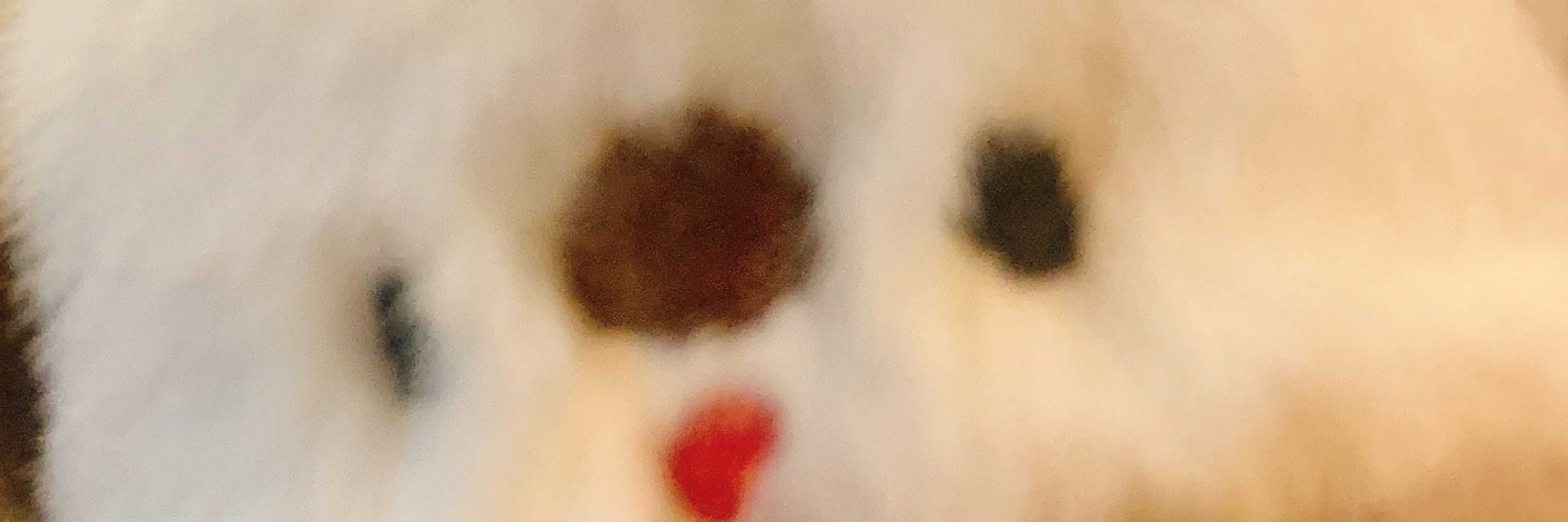 ねずみのぬいぐるみ