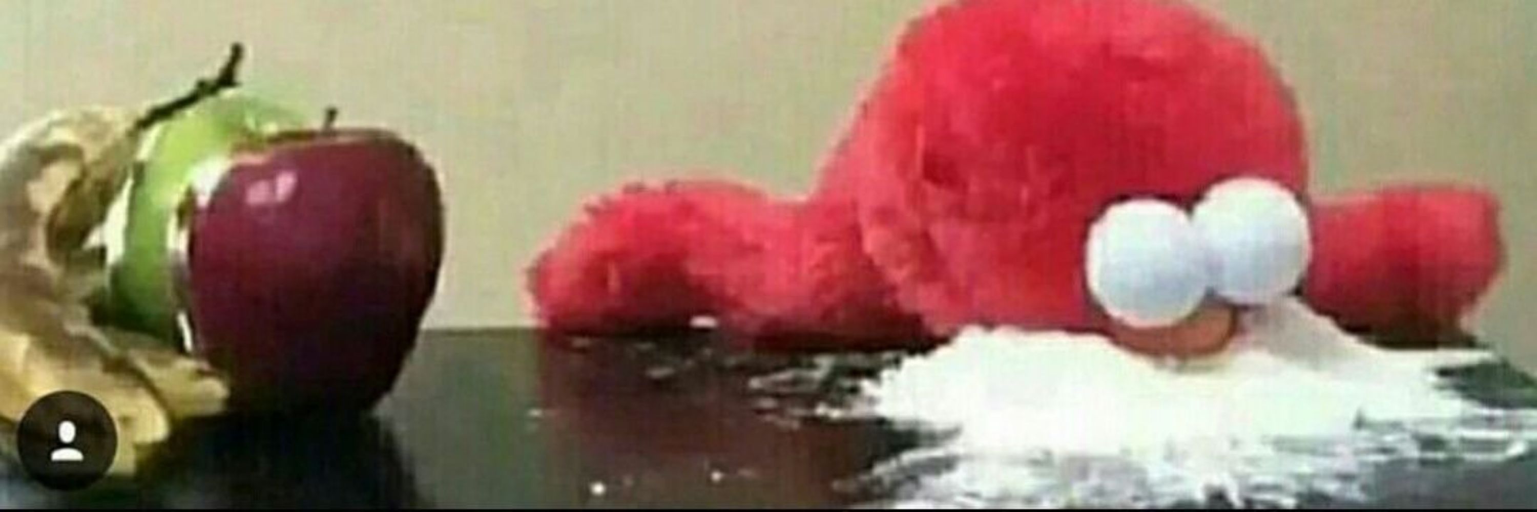 핫도기도기도기