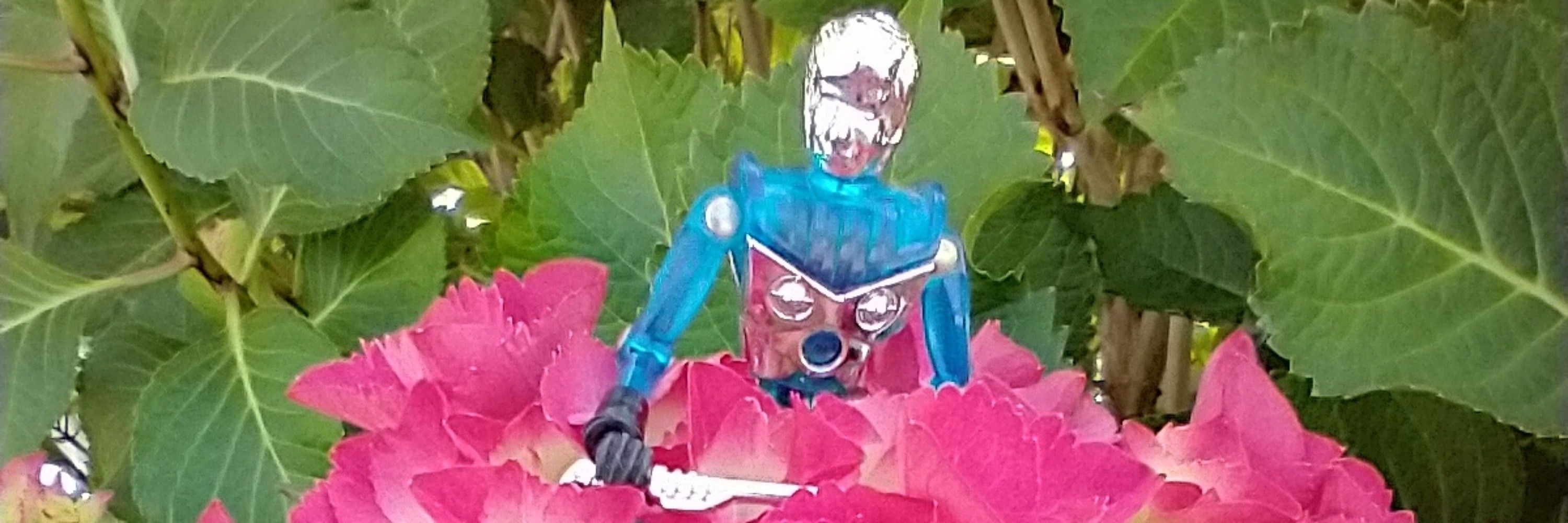Microbry