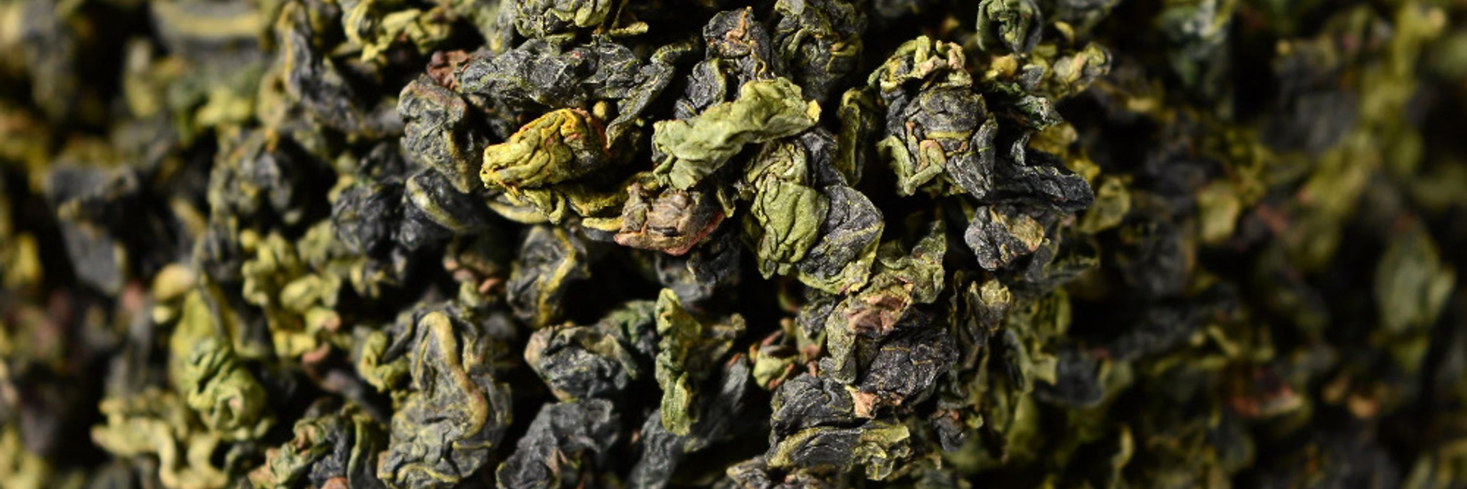 Oolong