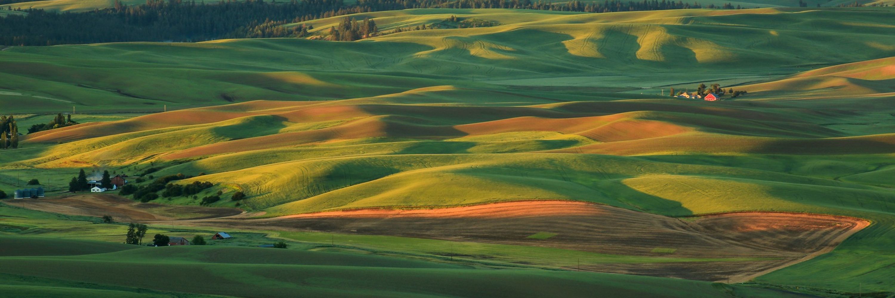 Washington Department of Ecology