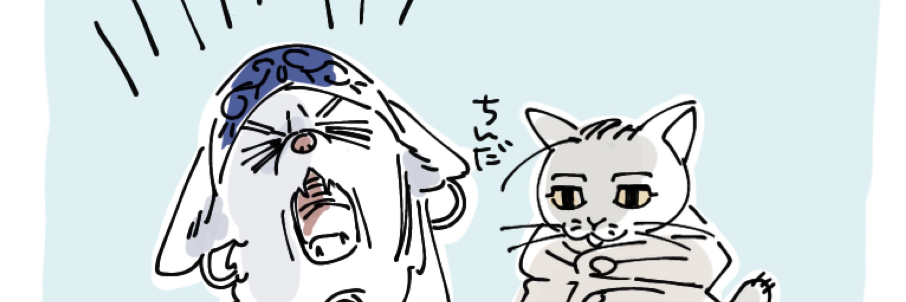 おかか