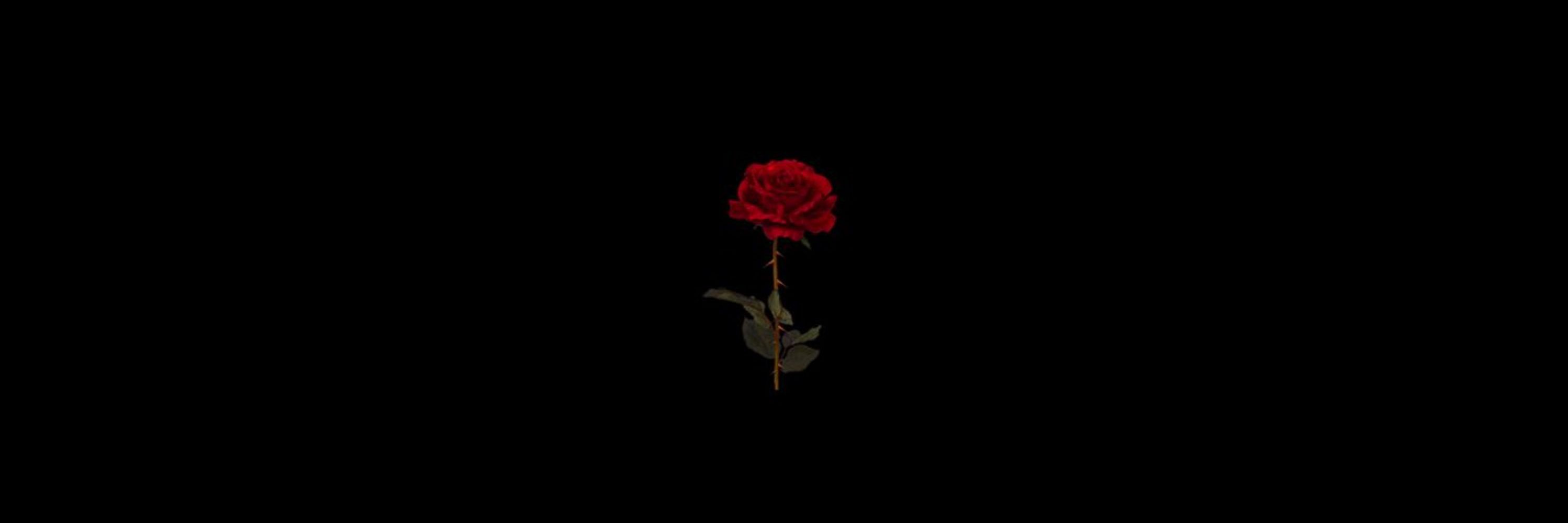 𝓝𝐚𝐭𝐚𝐬𝐡𝐚 𝐇𝒂𝒓𝒓𝒊𝒏𝒈𝒕𝒐𝒏.