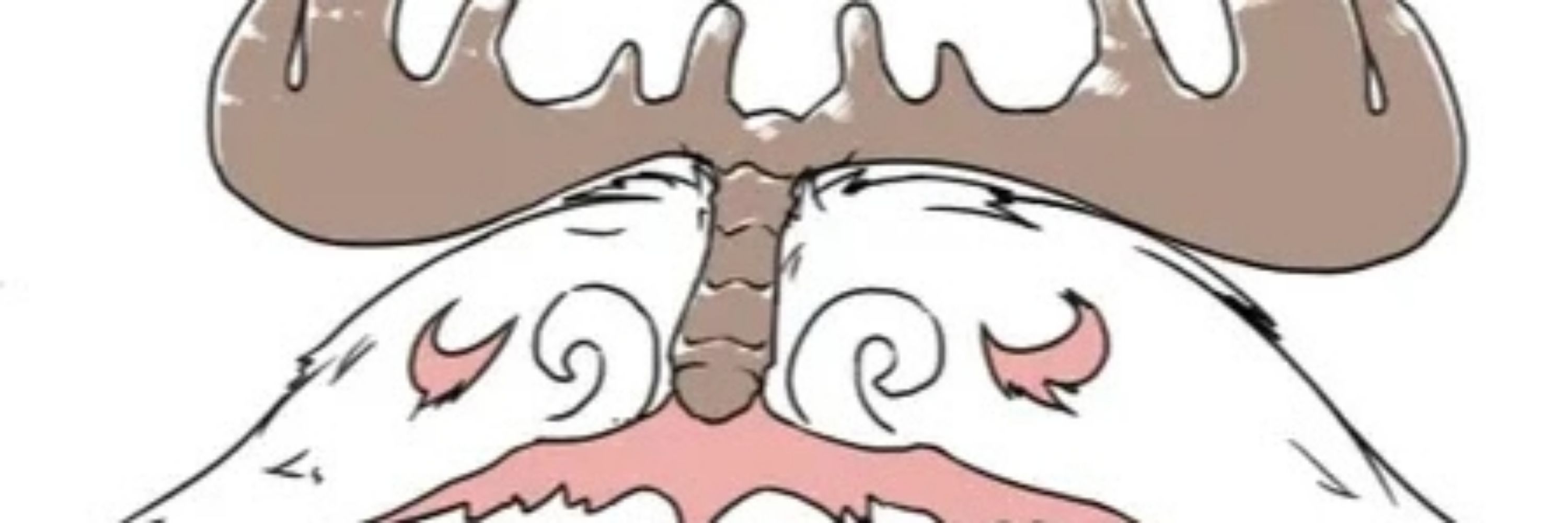 冬狐