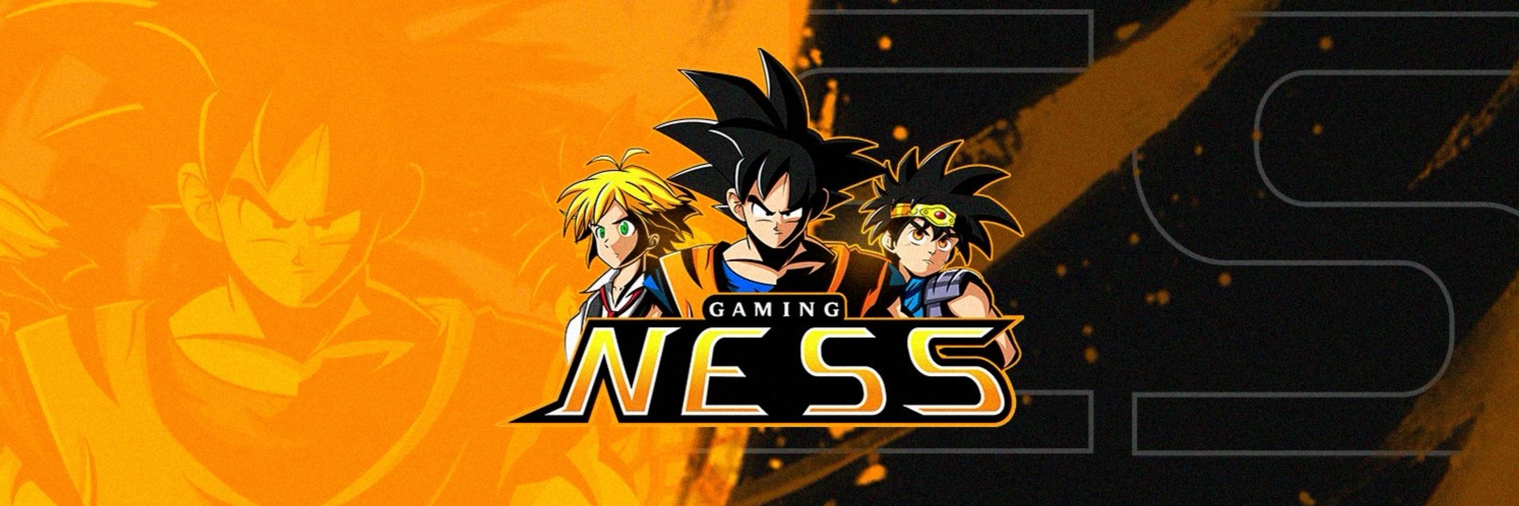 Ness Gaming