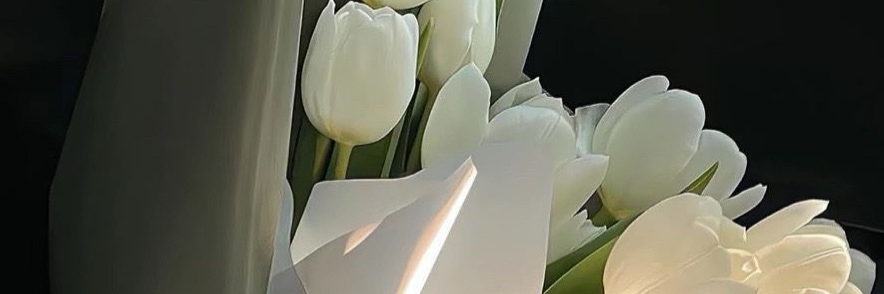 𝒢𝒶𝒷𝓇𝒾𝑒𝓁𝒶.