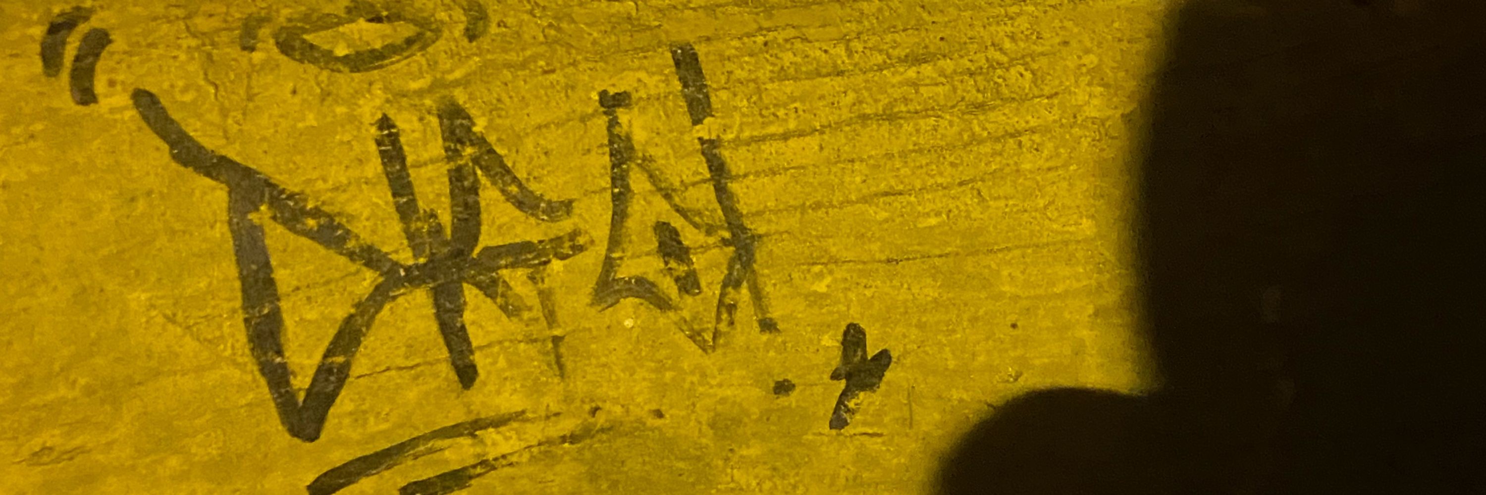 西奧🫧