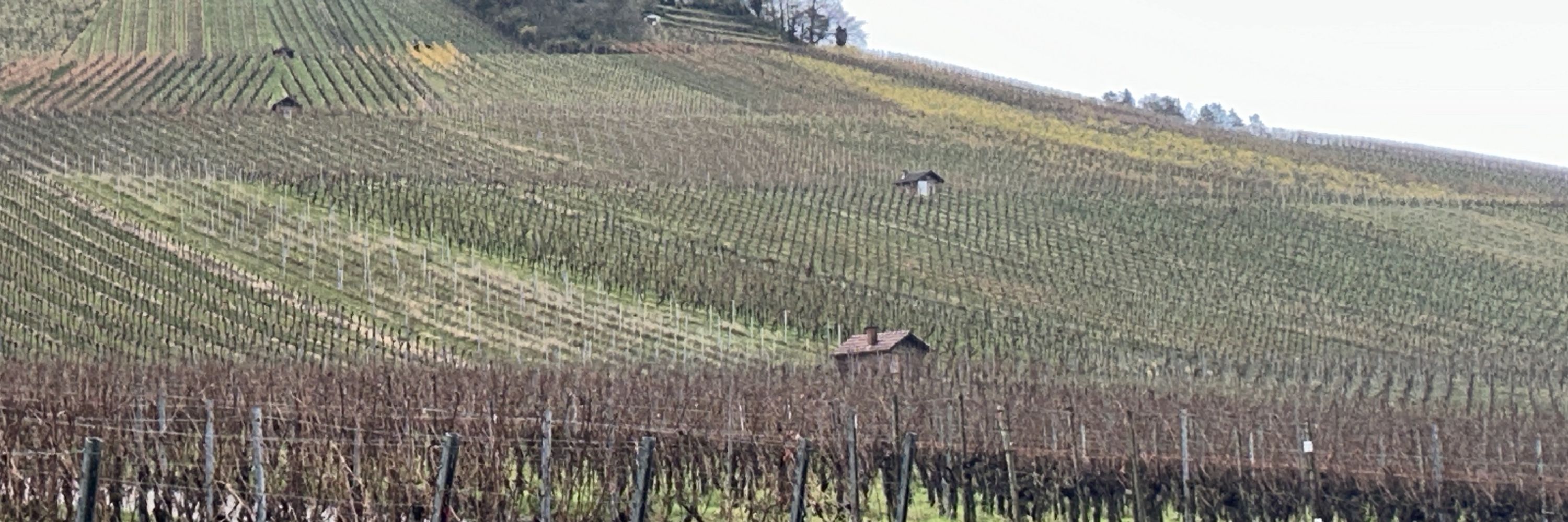 Eckart Woertz