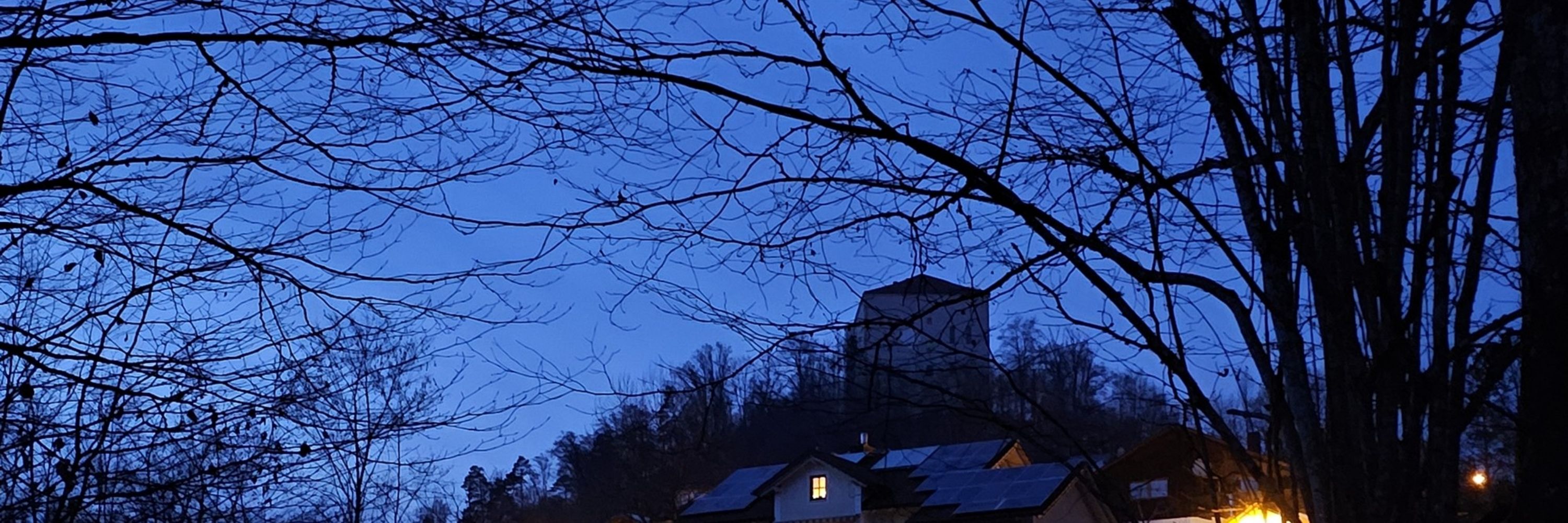 waldläuferin unterwegs