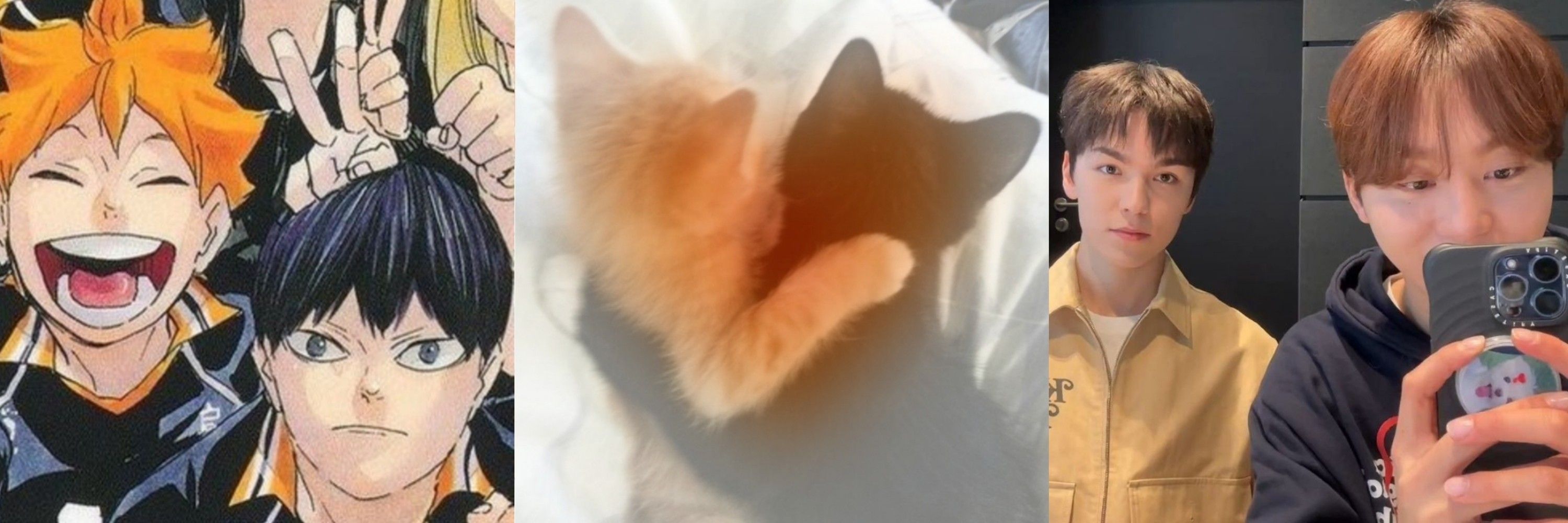 𝗴𝗵𝗼𝘀𝘁 🦊