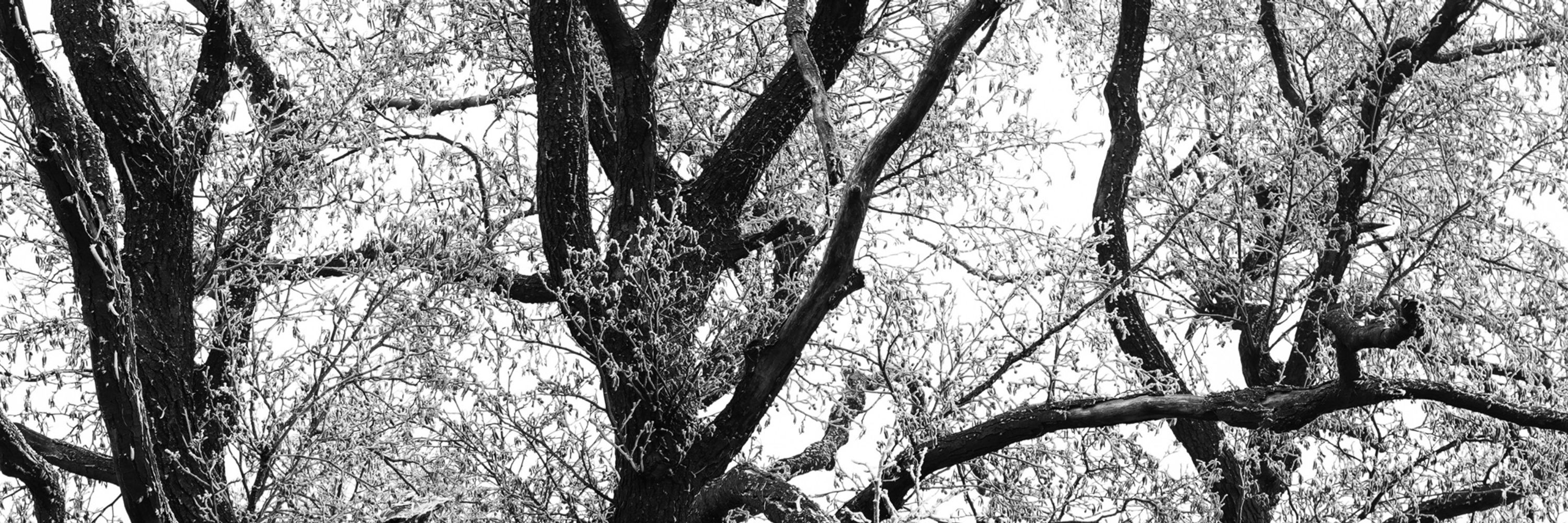 wunderling photografie