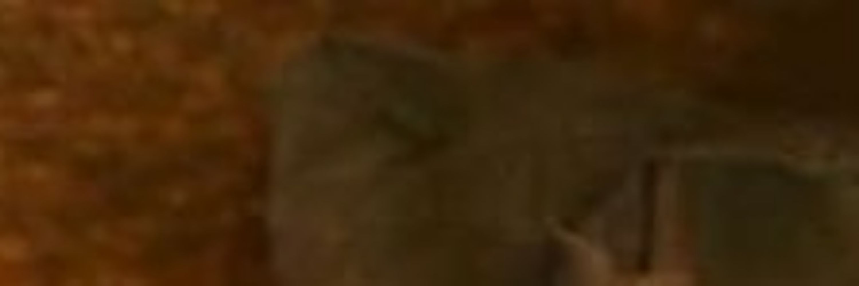 4llan is a lowlife