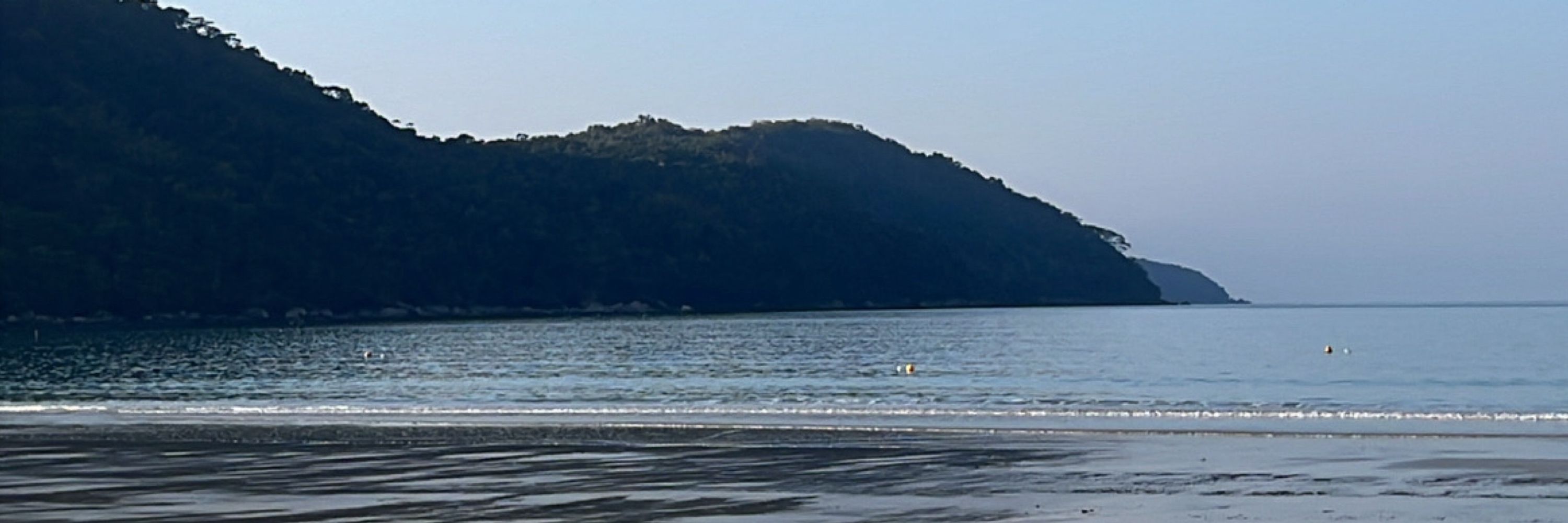 Danilo Bandeira