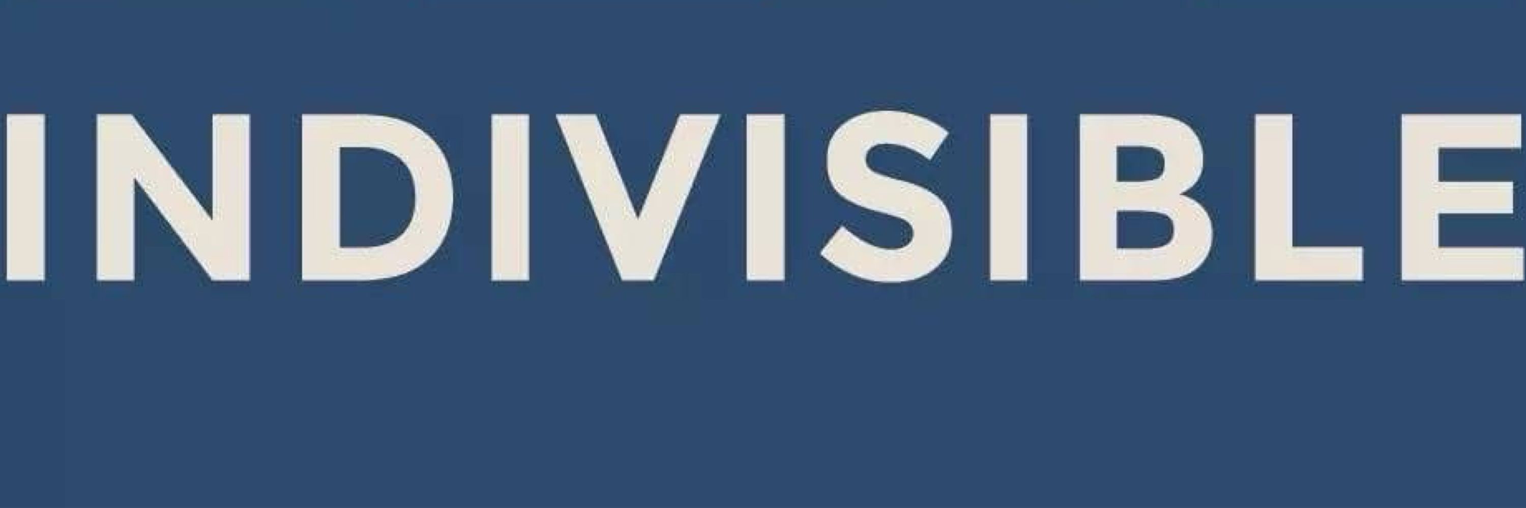 Indivisible Ohio