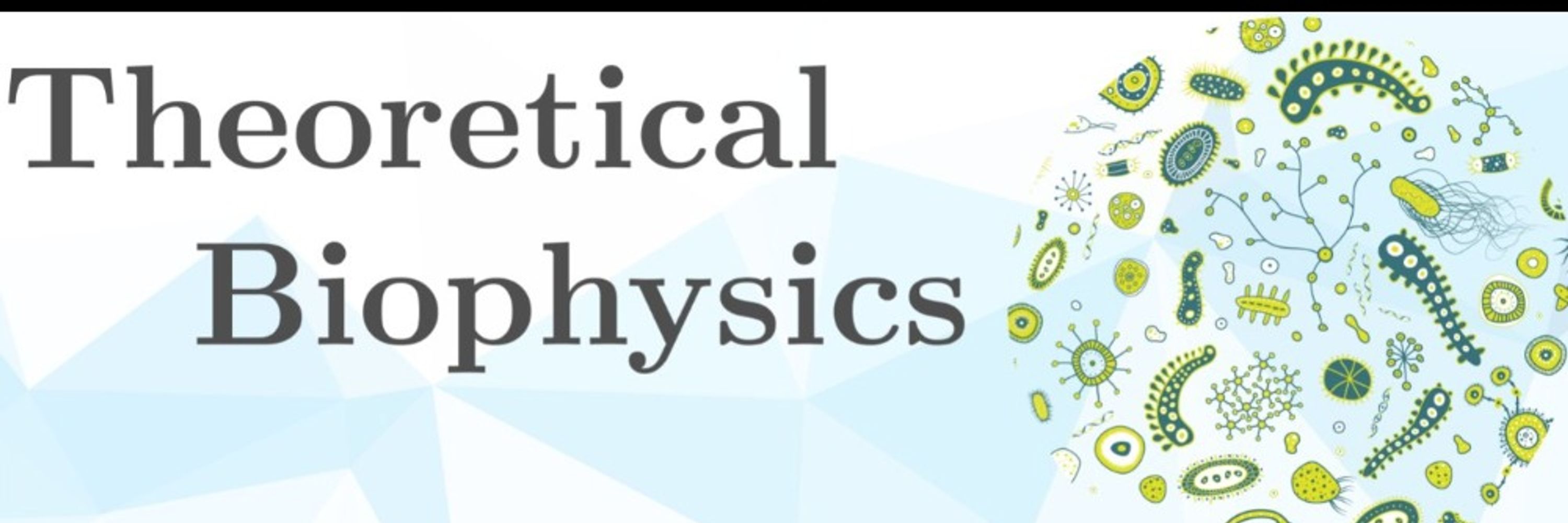 Theoretical Biophysics