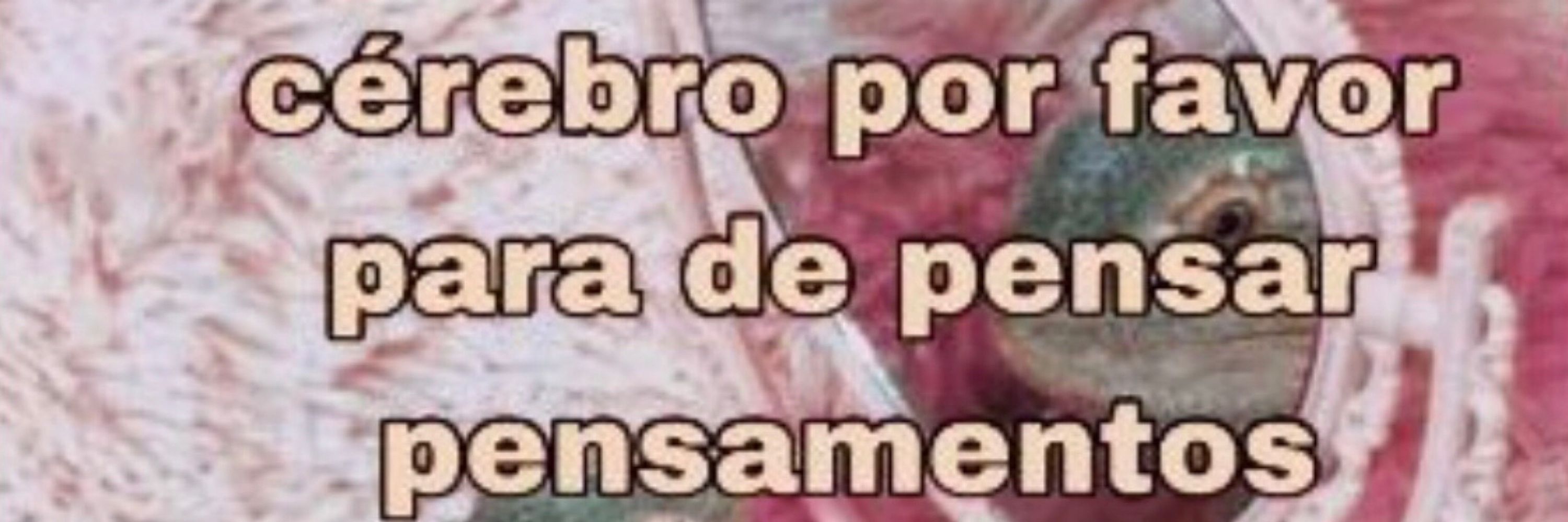 lelet
