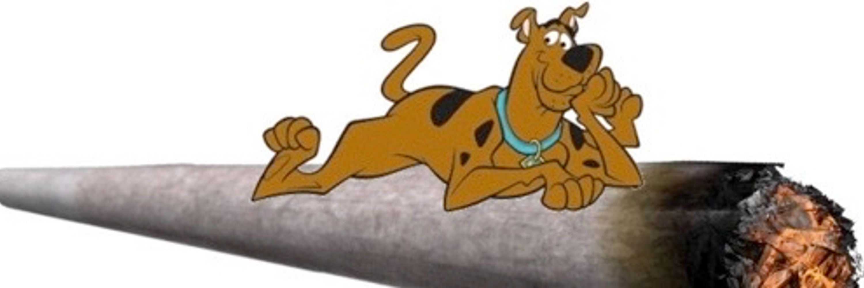 DoobyScoob