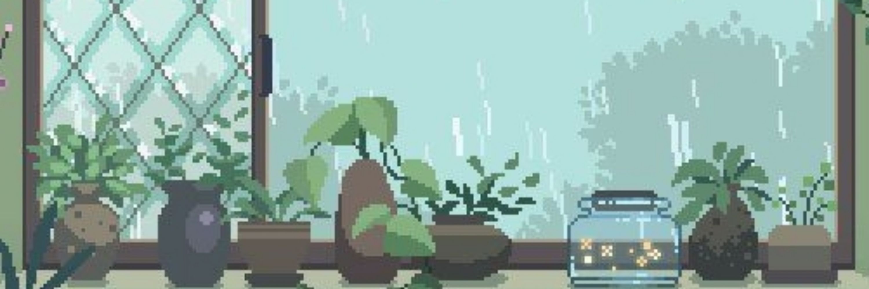 Blue-green algae