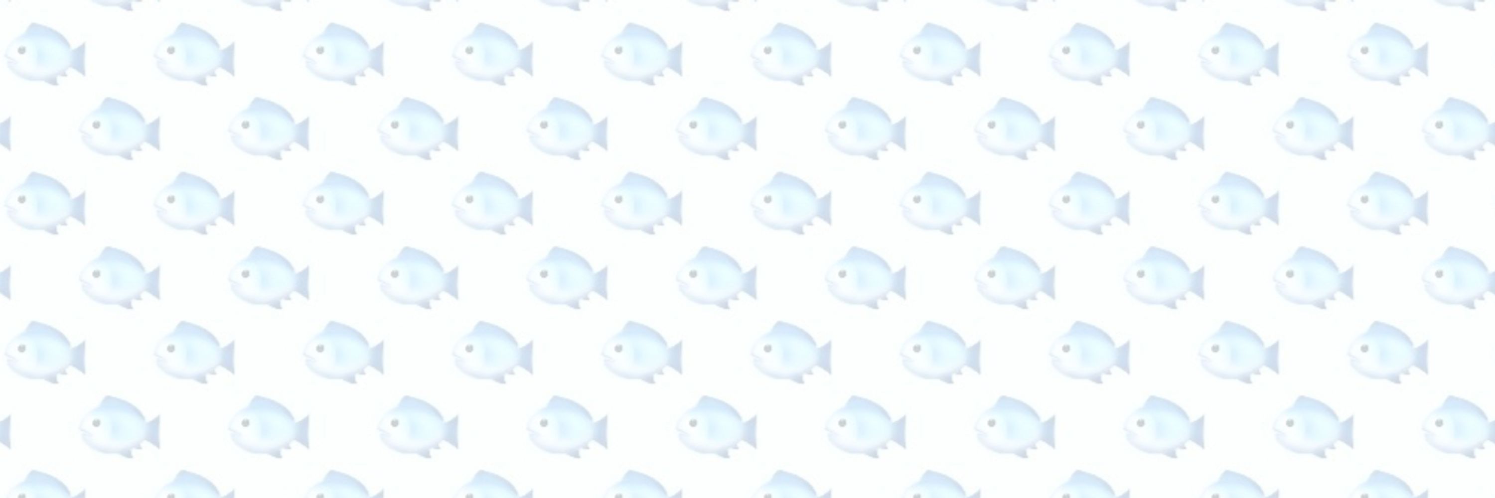 eeshfeesh
