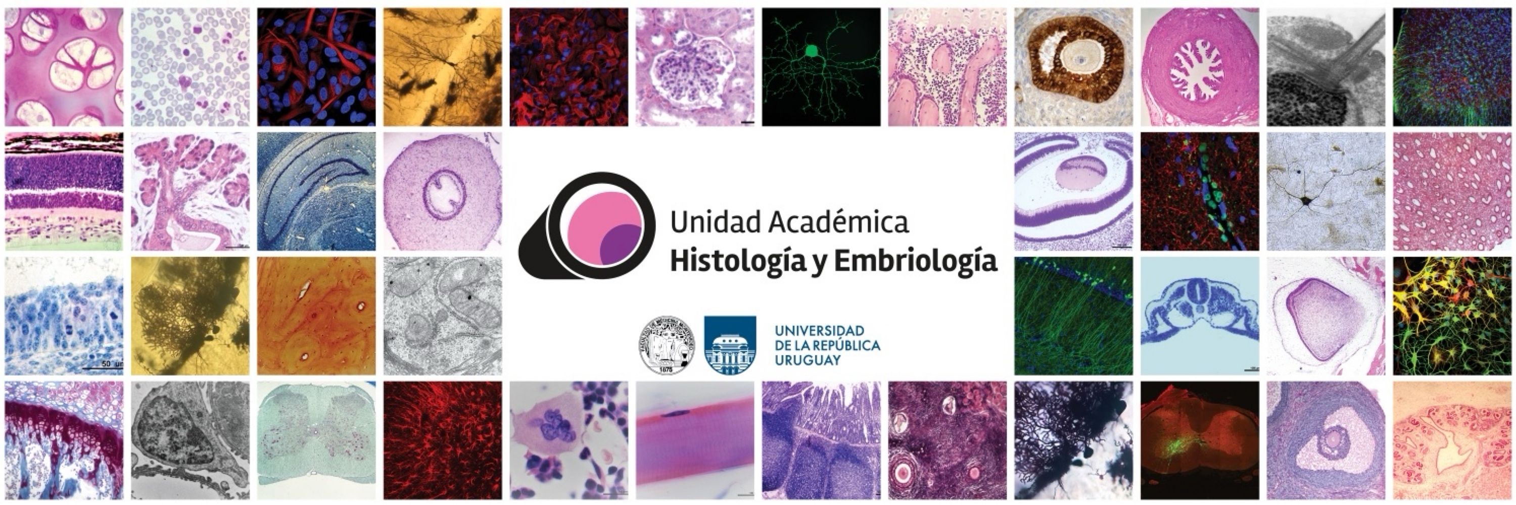 Histología y Embriología Fmed