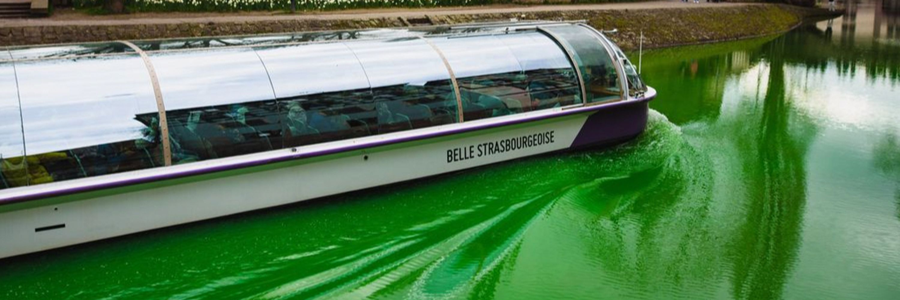 Extinction Rebellion Strasbourg