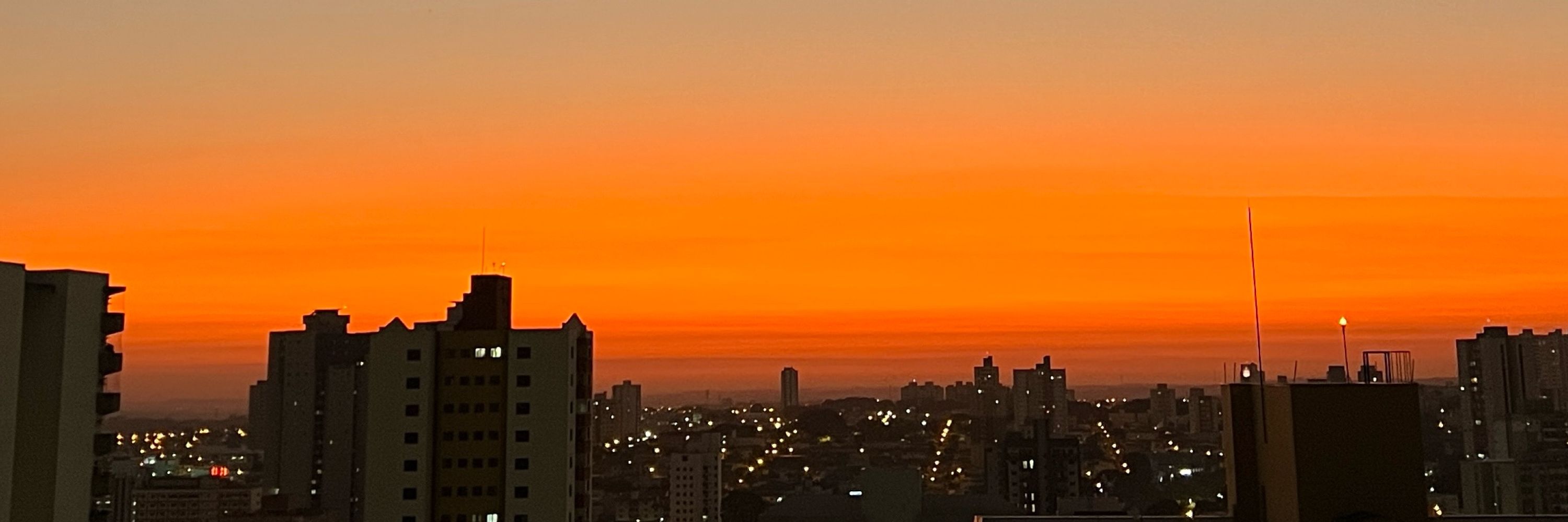 bruna