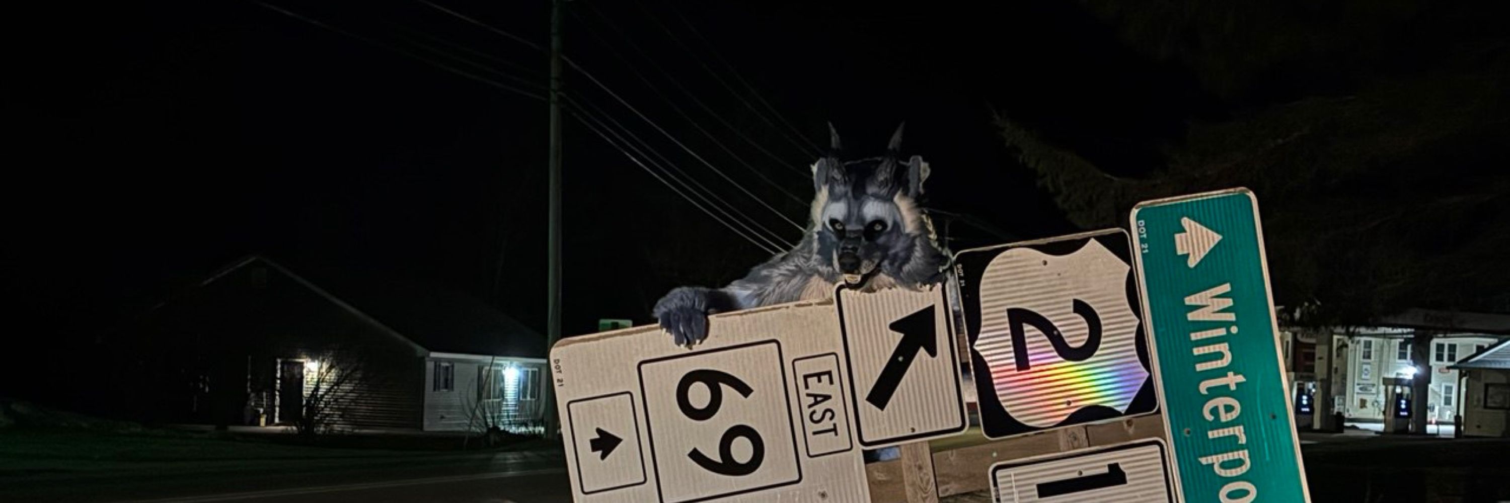that big blue draccoon