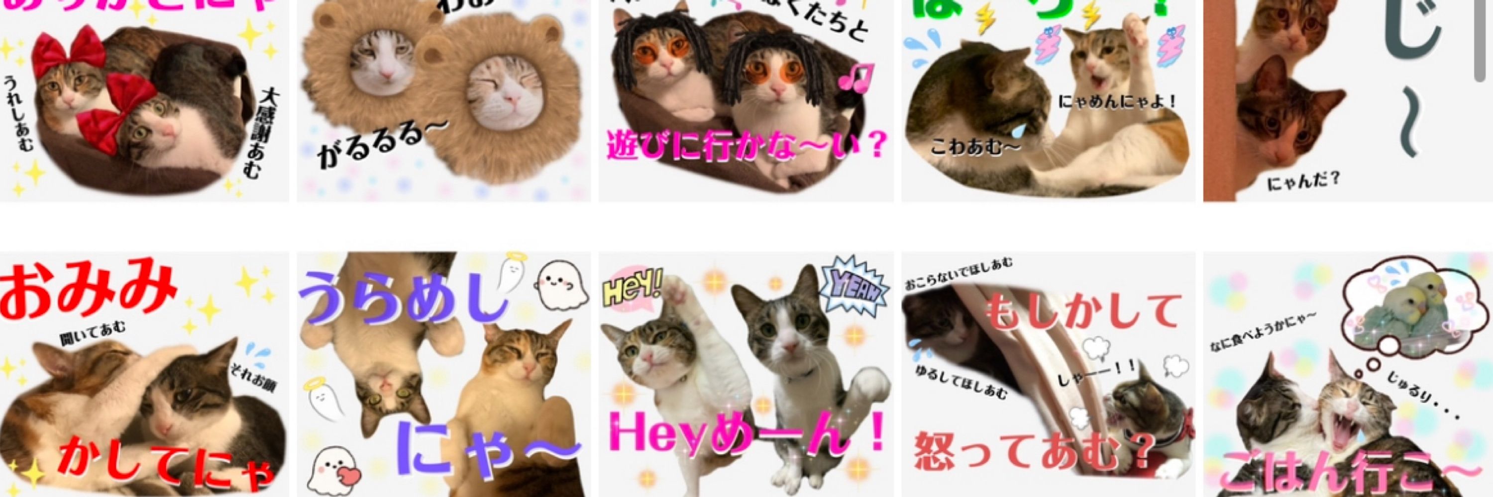 びびひなくまくま