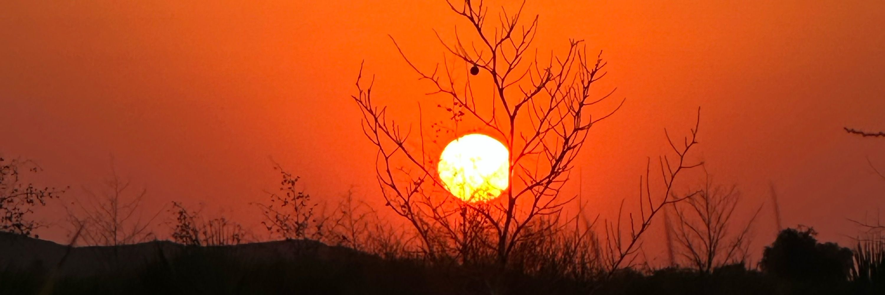 Shahul Baluch