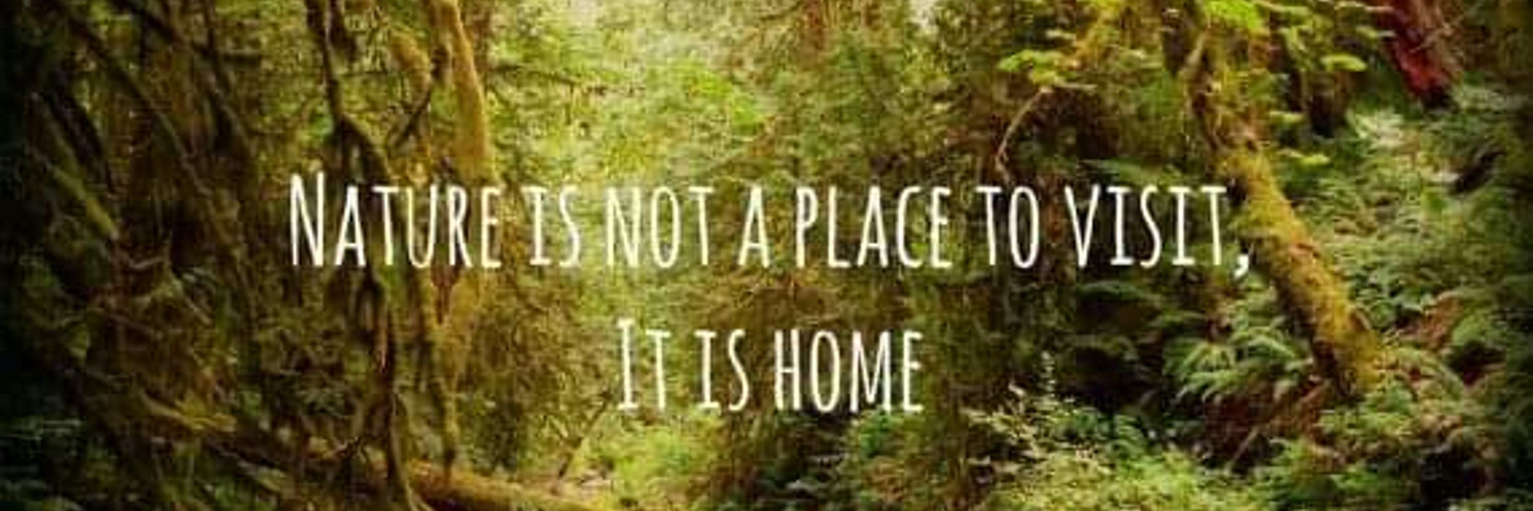 MichaelBme  ☮️🌲🌻