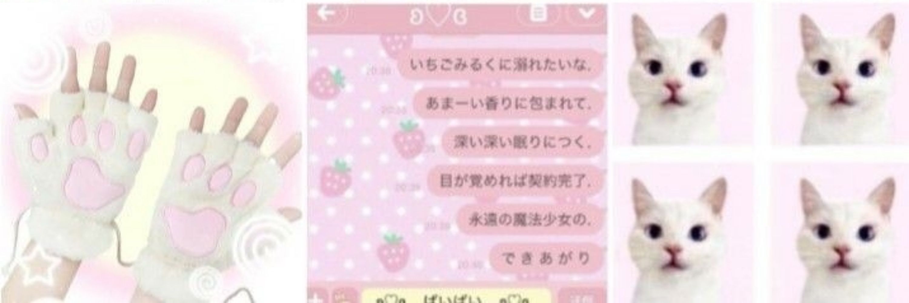 aily