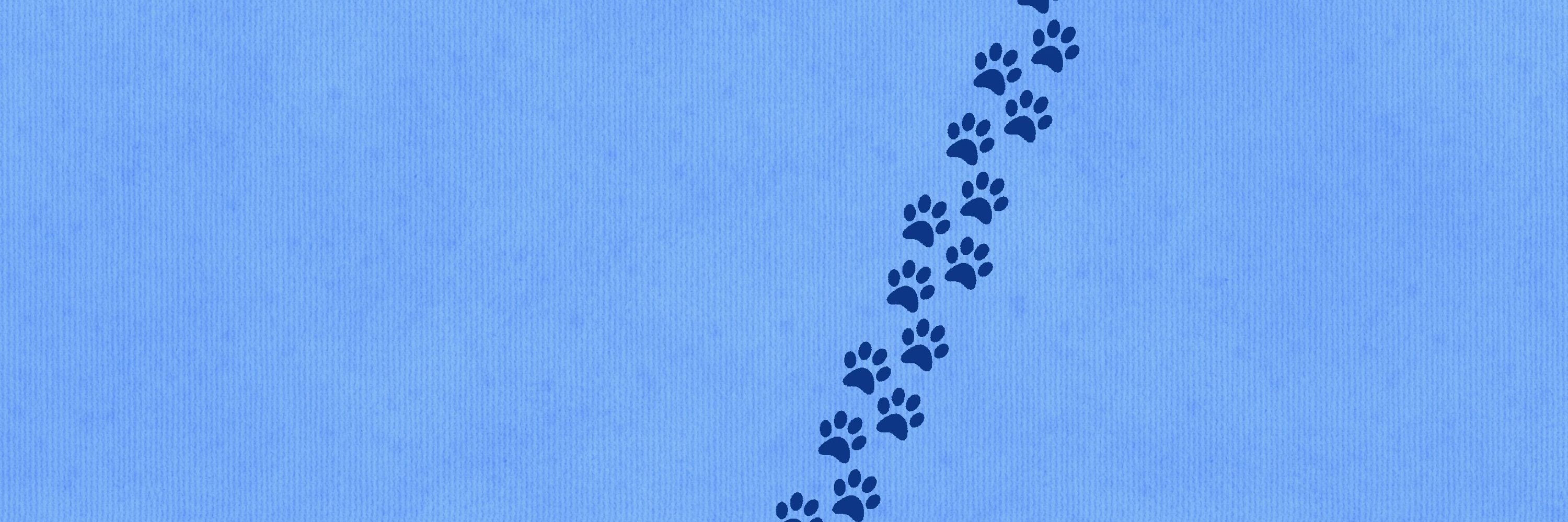 Blu Fox