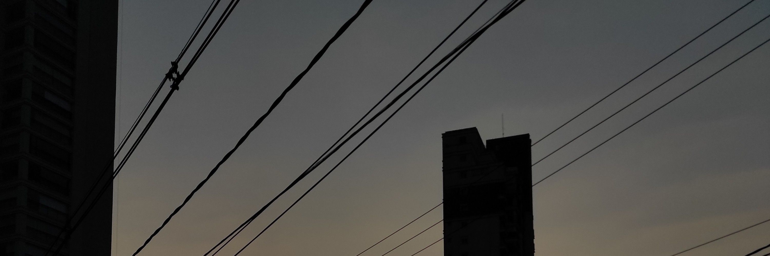 Leleo fã d tucs