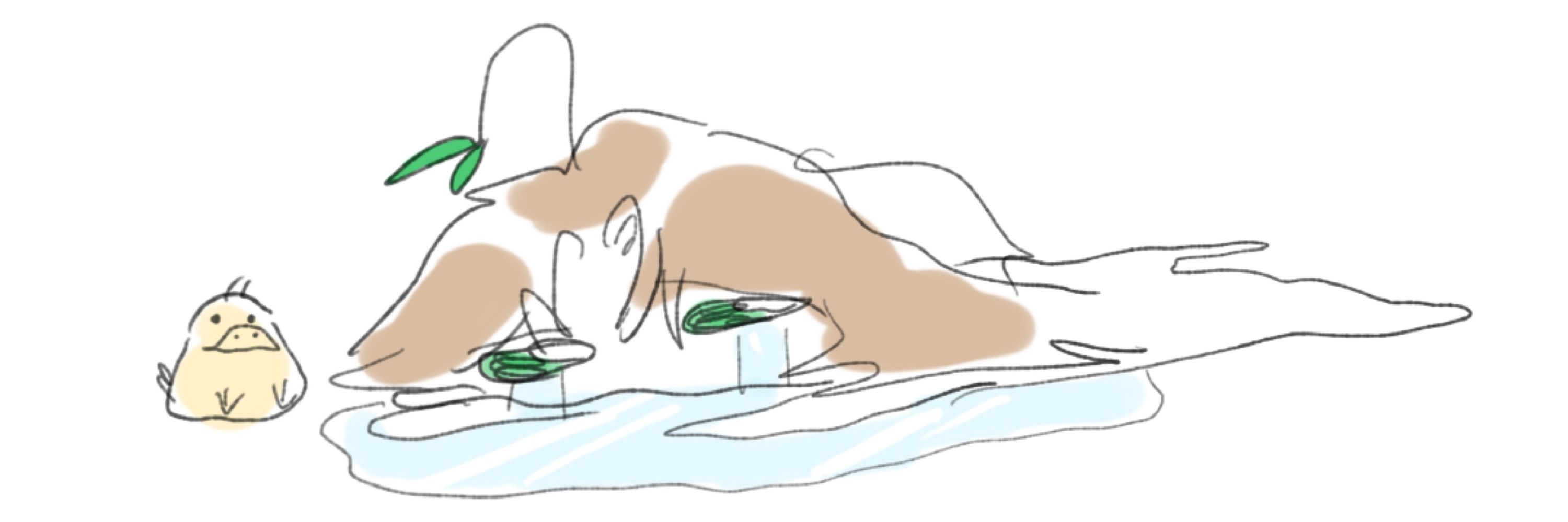 백 헹