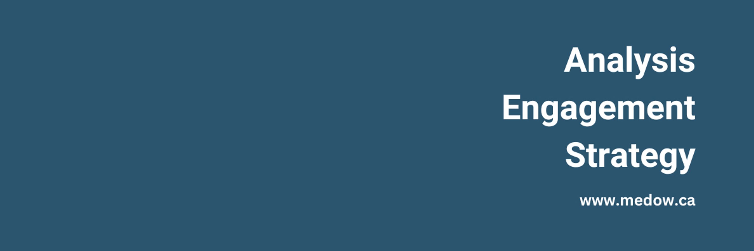 Medow Consulting
