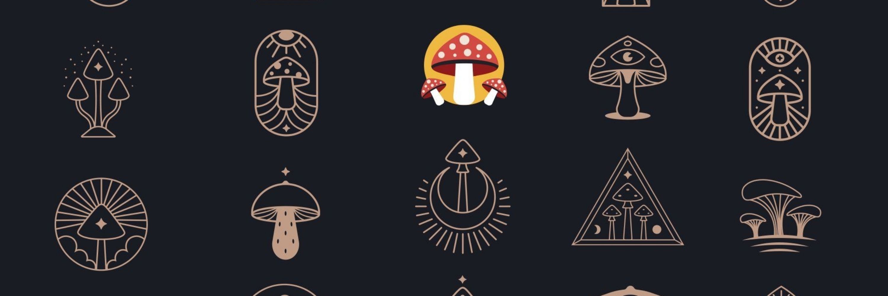Champíñigo 🍄‍🟫