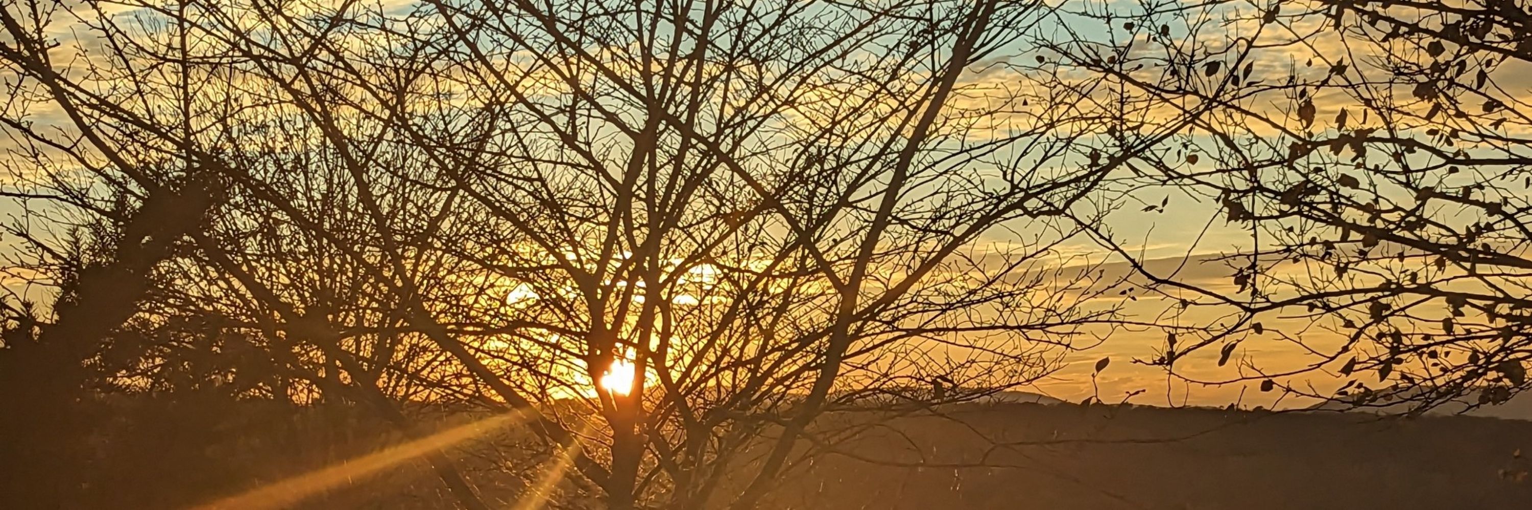 Autumn Dawn