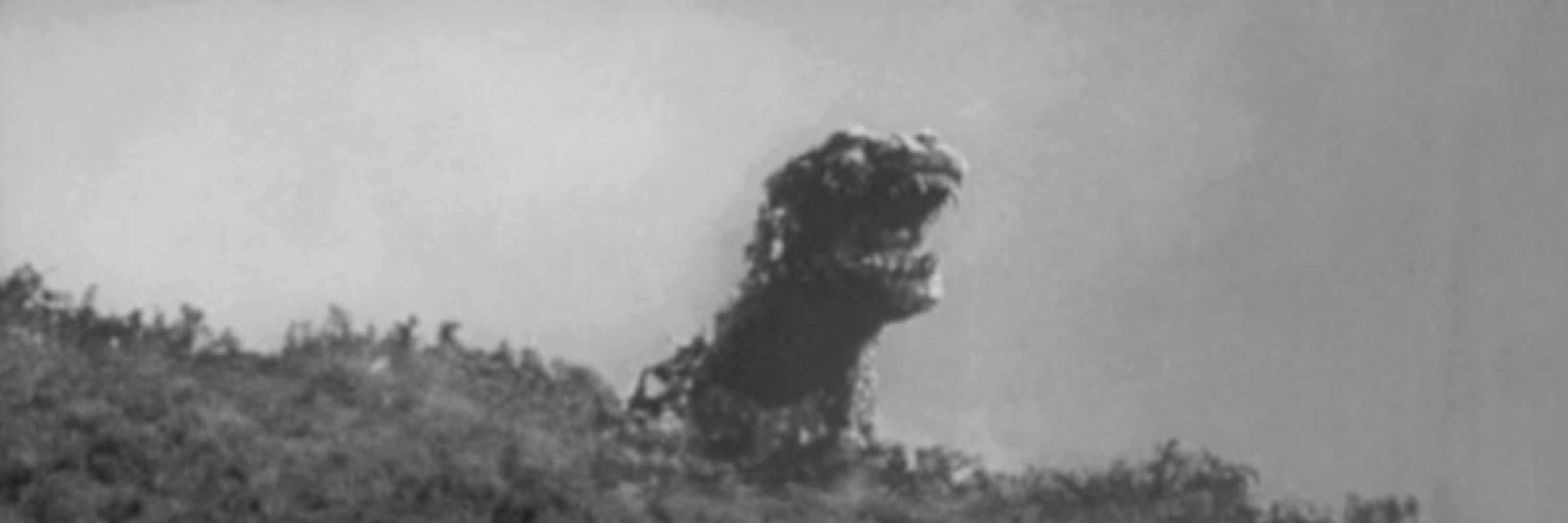 映画研究員ヤマゾノ