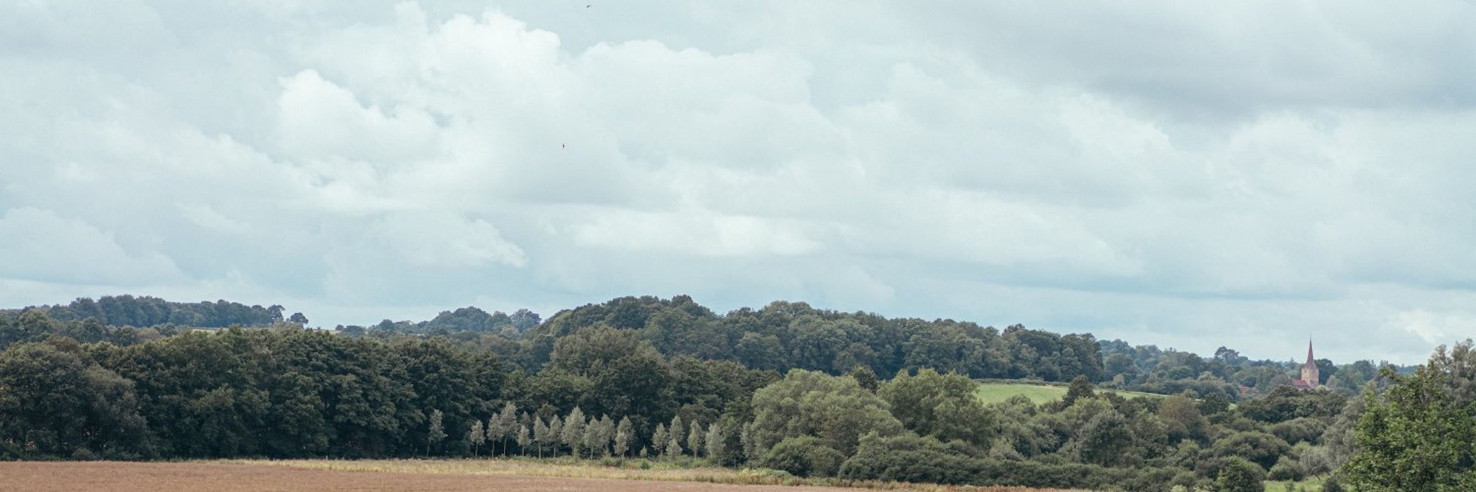 Victoria Adelmant