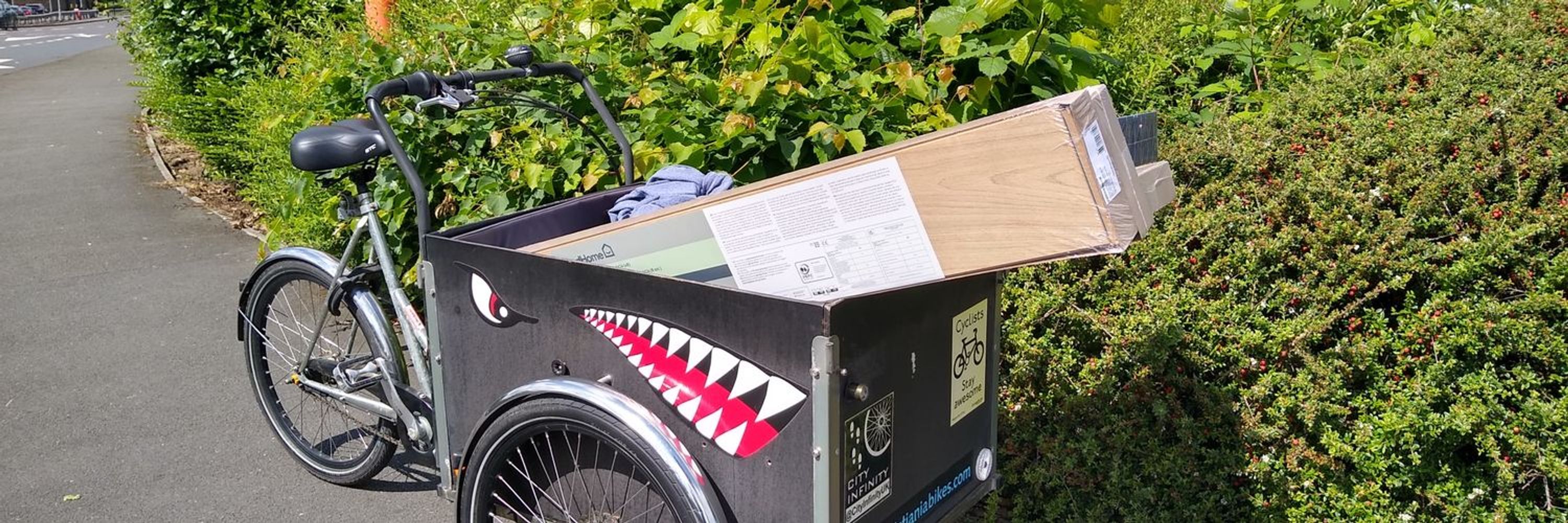 The London Shark Trike