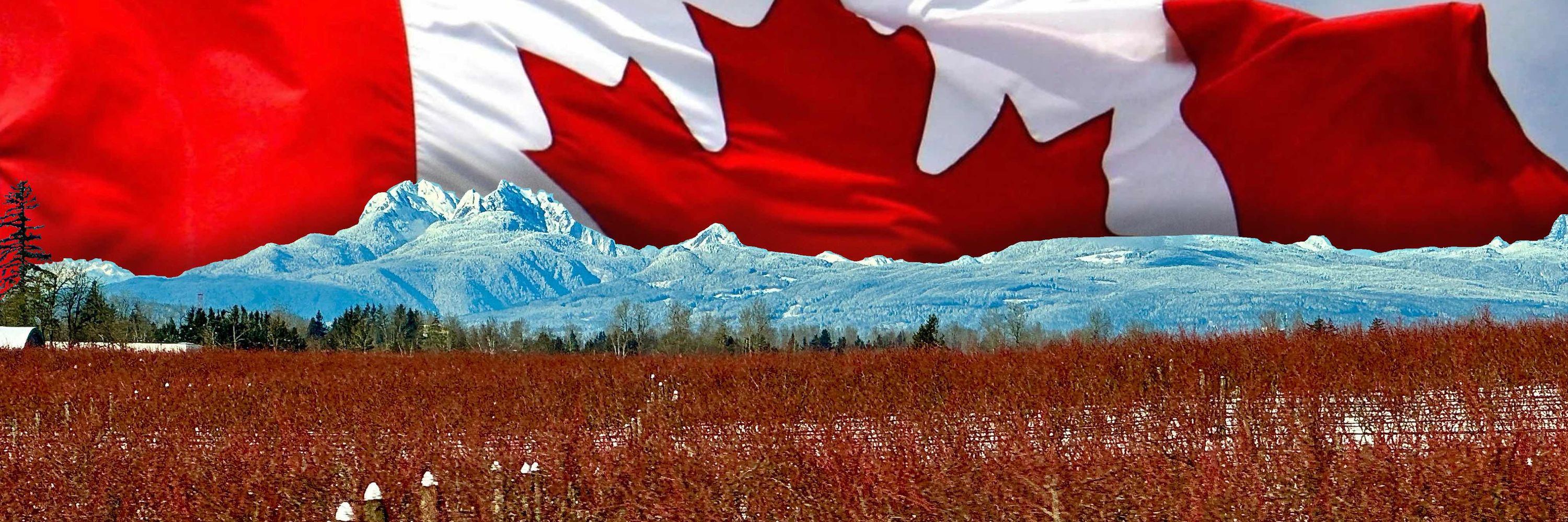 revellious 🇨🇦🇺🇦