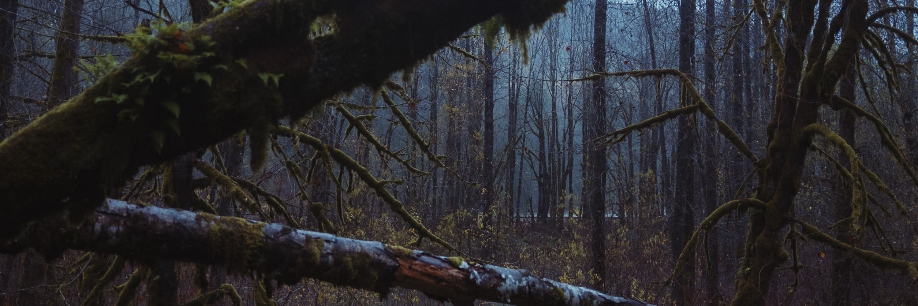 Ryan McKinney | Seattle Photographer