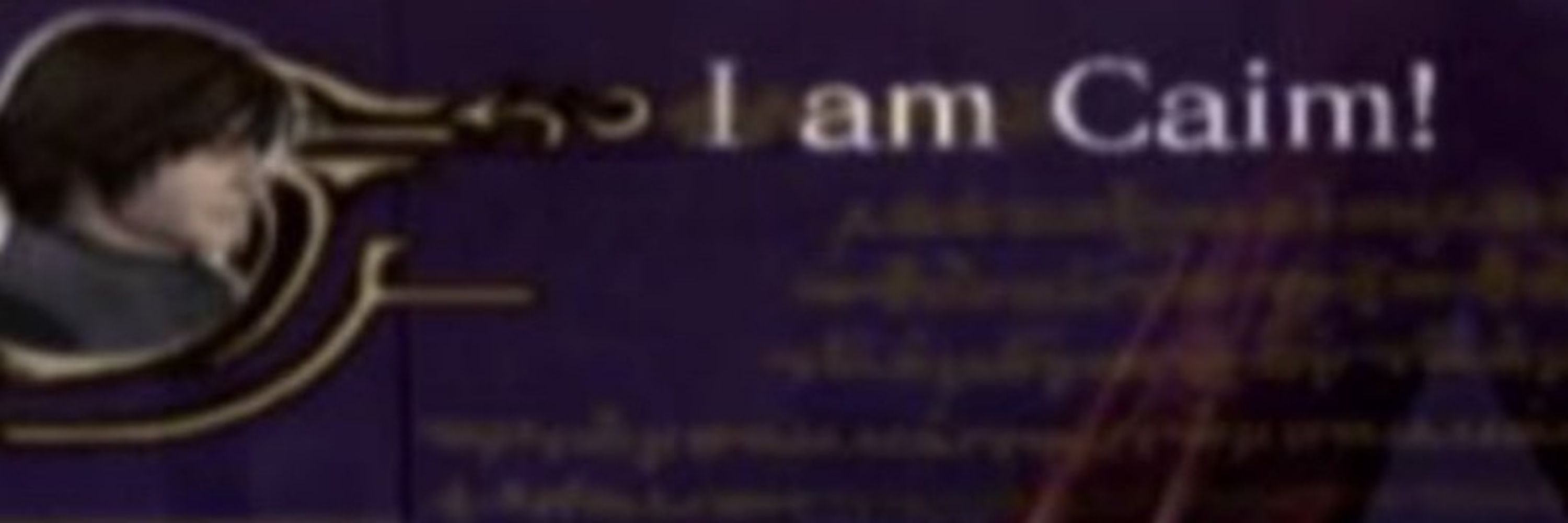 liris lavellan fan account