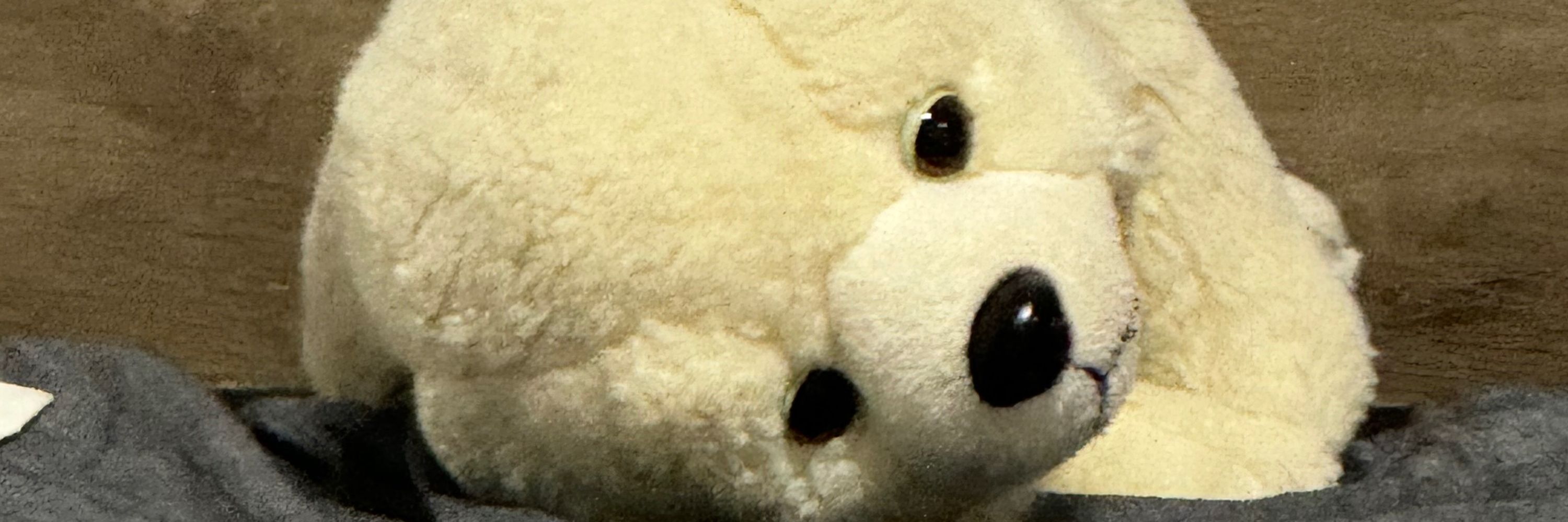 杀REN狂魔鼠富贵