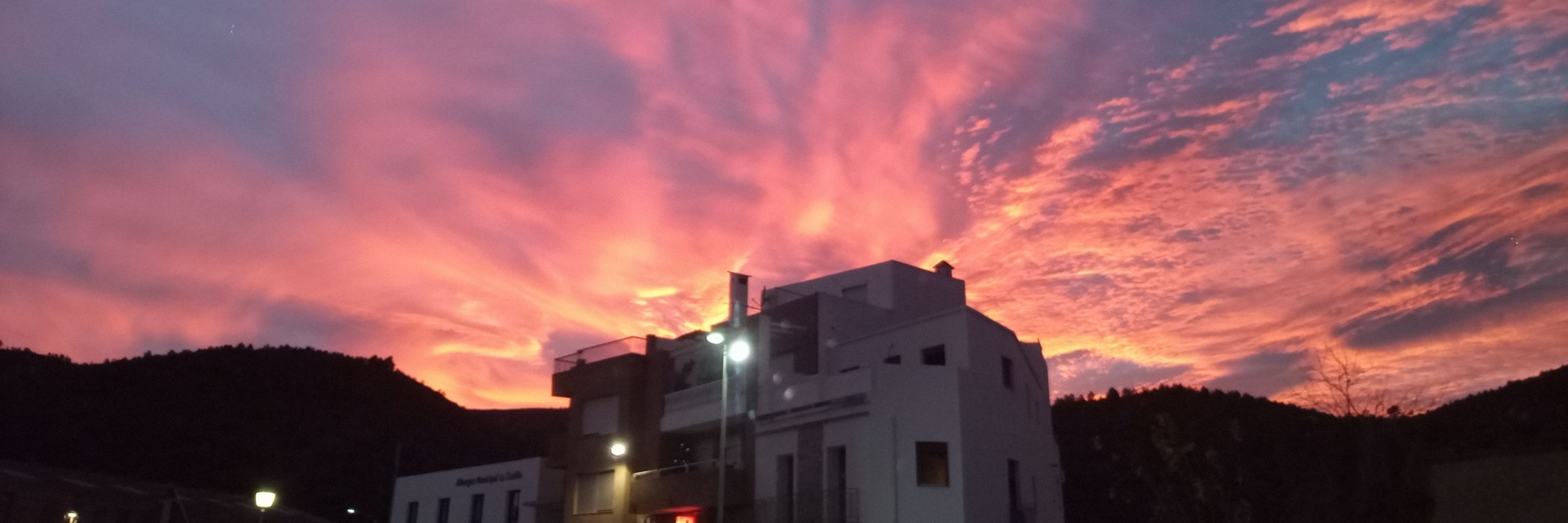 Toni Solsona